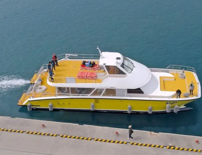 【那覇発/日本語必須ツアー/慶良間/3時間】開催以来遭遇率100％継続中の超優良事業者☆県内最大クルーザーで行く快適ホエールウォッチング！（No.422）