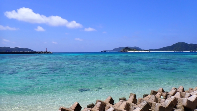 ホエールウォッチング初心者必見！慶良間諸島（座間味・渡嘉敷・阿嘉島）の時期とクジラ遭遇率ガイド