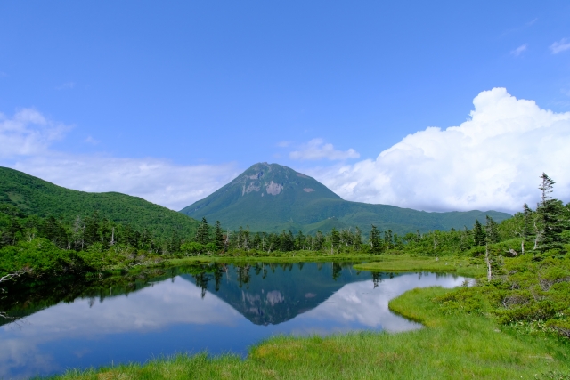 北海道（知床）
