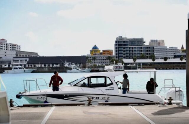 ホエールウォッチング　貸切船　チャーター