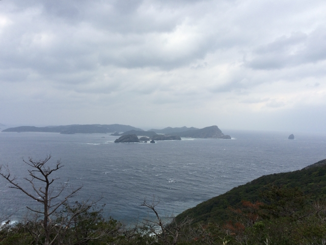 冬の渡嘉敷島でクジラに出会う感動体験！ホエールウォッチングの魅力・ベストシーズン・おすすめツアー情報まとめ