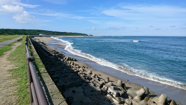 クジラがジャンプするのはなぜ？迫力満点の理由と見られる場所を解説