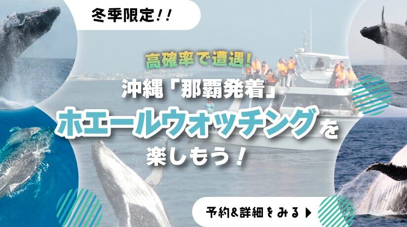 ホエールウォッチングKV_pc