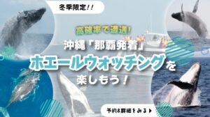 ホエールウォッチングKV_sp