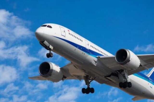 ホエールウォッチングへ向かう飛行機