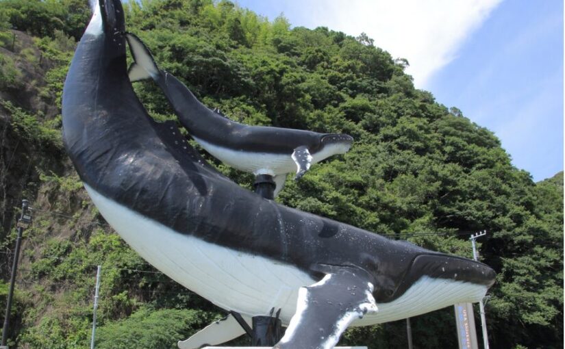 高知のホエールウォッチング拠点にあるクジラ像