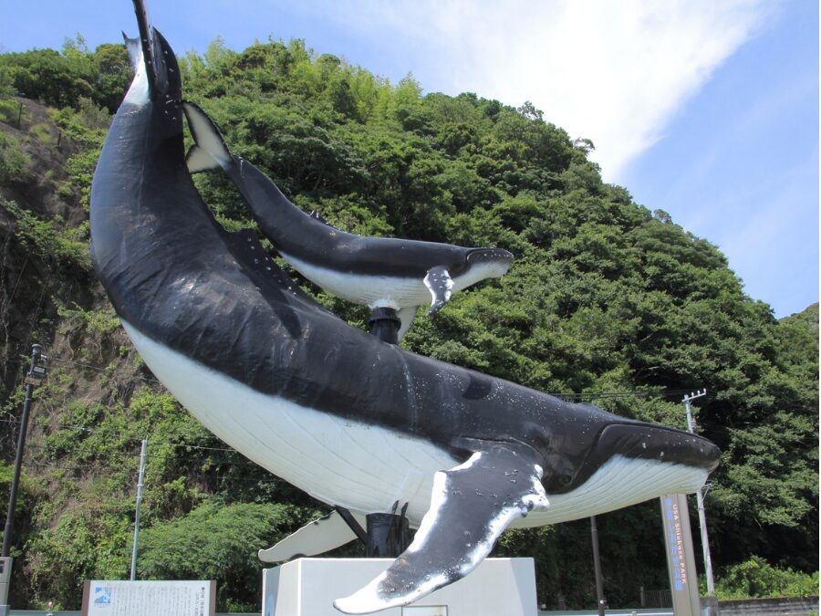 高知のホエールウォッチング拠点にあるクジラ像